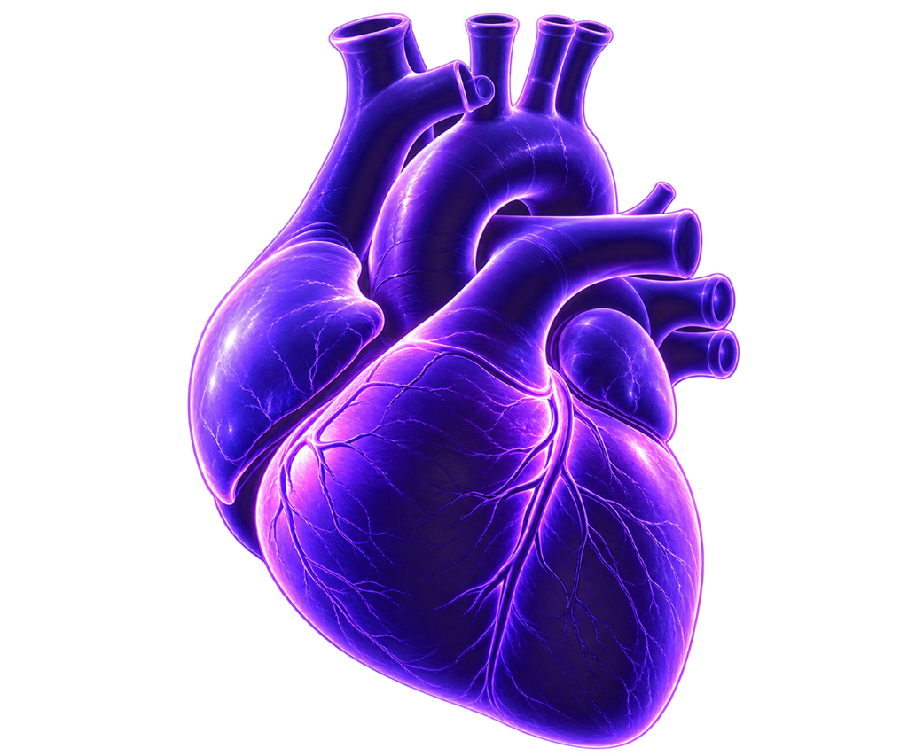 Glowing Anatomical Heart